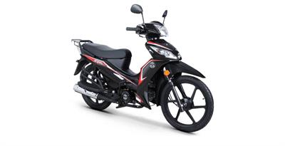 EGE 50